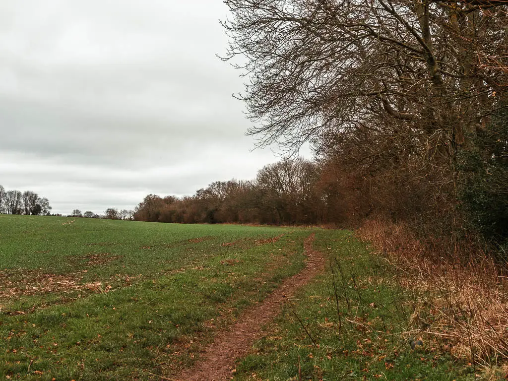 Looking along the right edge of a grass field, with a dirt trail running along the edge, and trees lining right right side of the field.