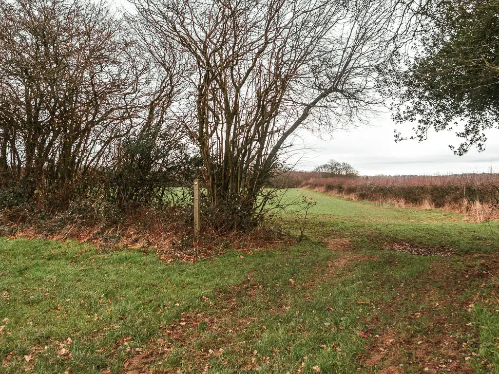 The corner of a grass field, leading to another field past some hedges and trees.