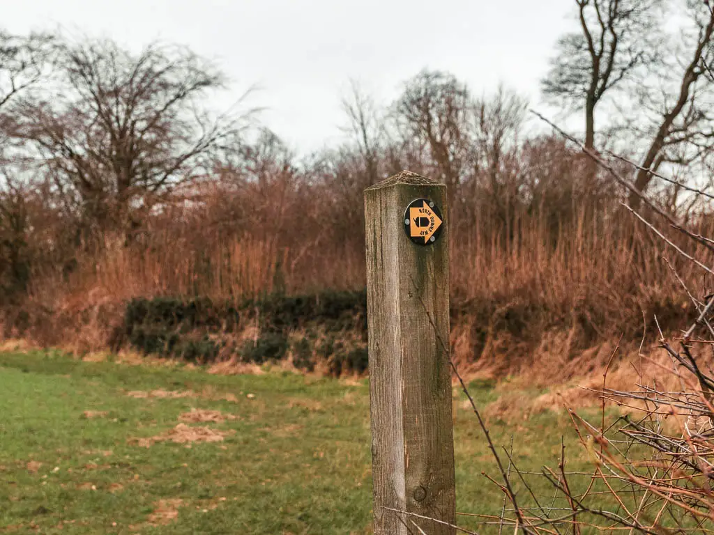 A wooden stump trail signpost with a yellow arrow pointing right.