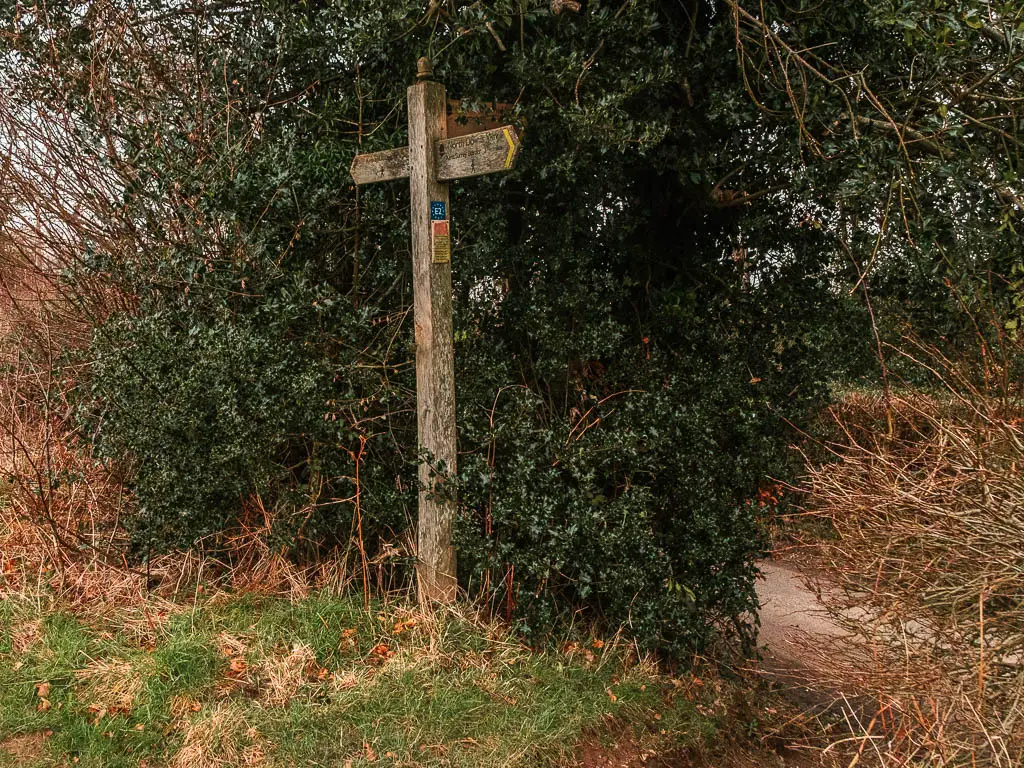 A wooden trail signpost sitting in front of a large leafy bush, with a agp in the bush leading onto the road.