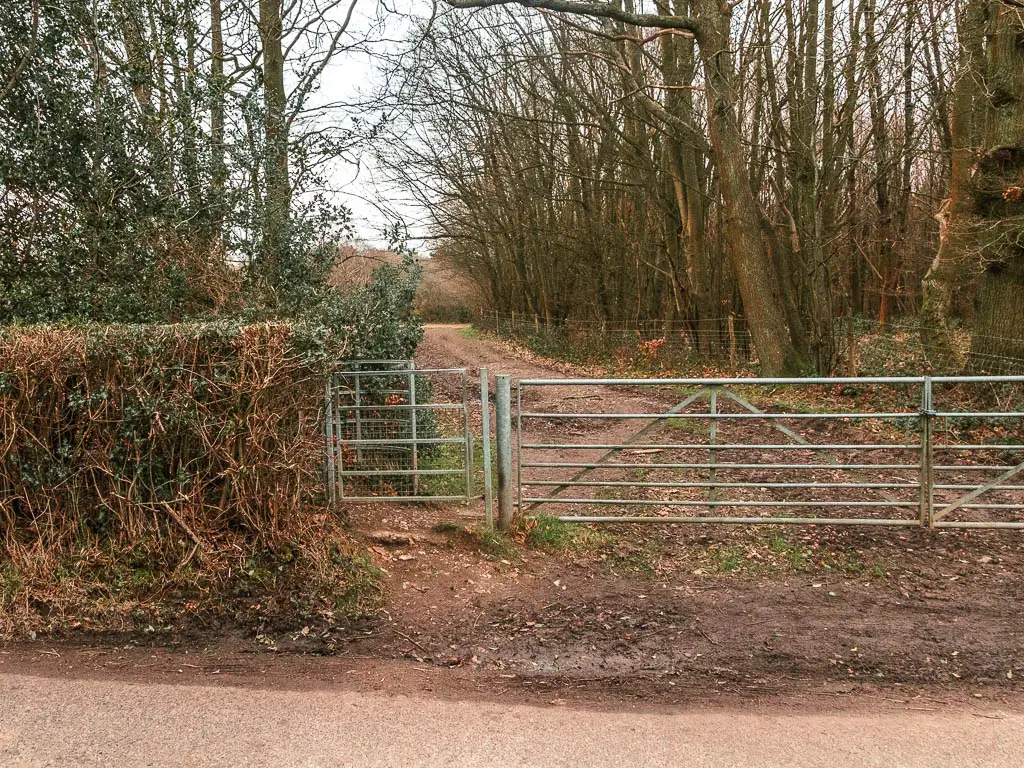 Looking across the road to a metal gate and wide dirt trail on the other side, with woodland trees to the right of the trail.