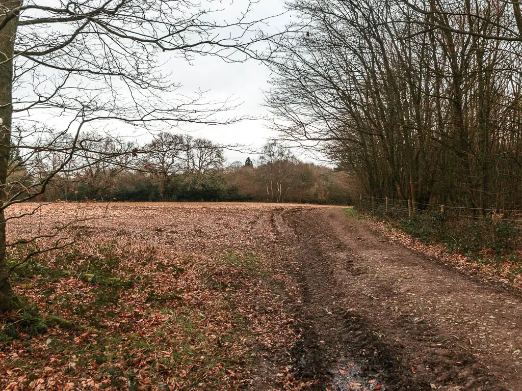 A wide dirt trail leading straight ahead on the edge off a field, with woodland trees to the right.