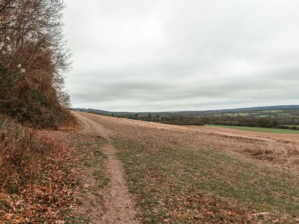 A narrow trail on the left side running along the top of a large field hill.