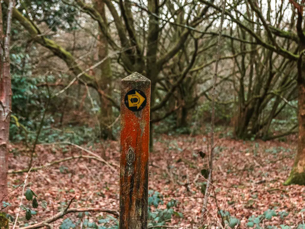 A wooden trail signpost in the woods, with a yellow arrow pointing right, when walking from Oxted to Otford.