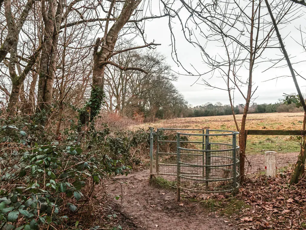 A dirt trail leading to a curved metal gate, and a field on the other side.