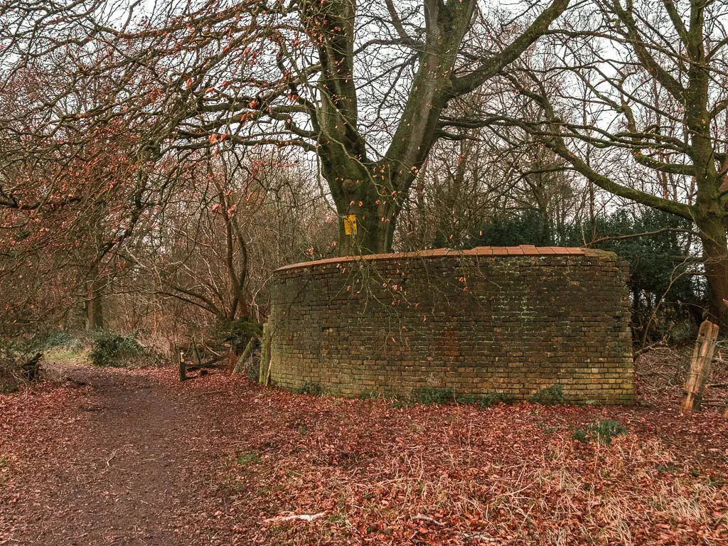 A large brick semicircle wall ruins, sitting under the trees, with a ground covered in red fallen leaves.