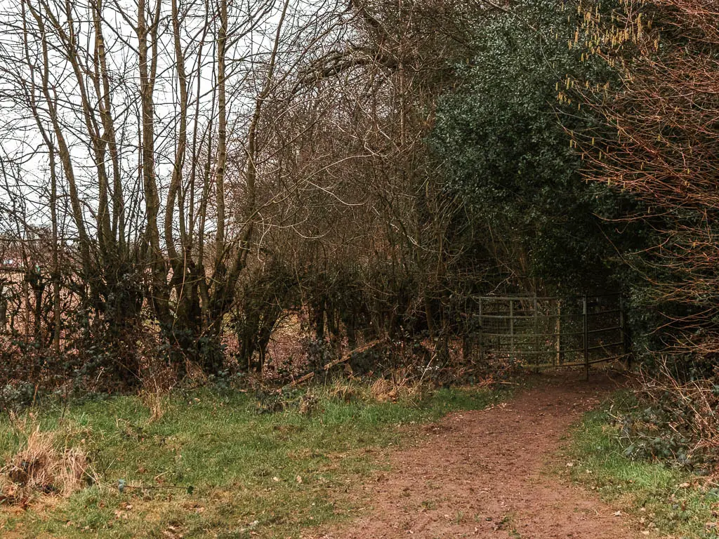 A dirt trail leading to the corner of a field towards a metal gate partially hidden by trees.