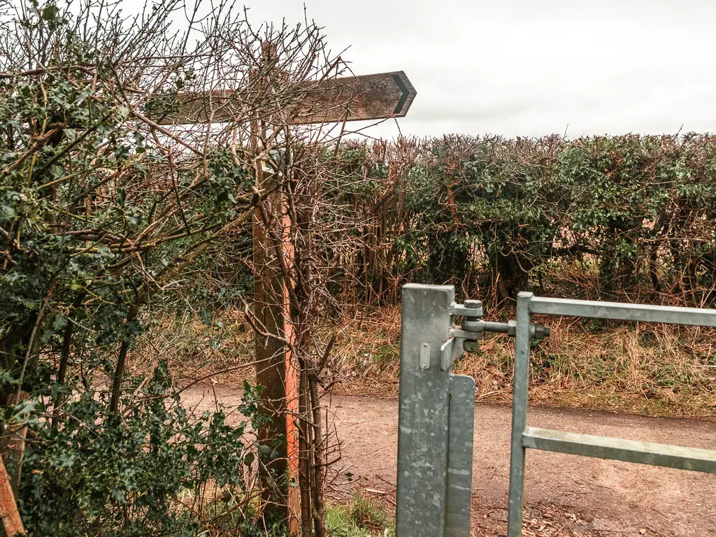 Part of a metal gate, with a wooden trail sign on the left, on road behind them. There is a hedge on the other side of the road.