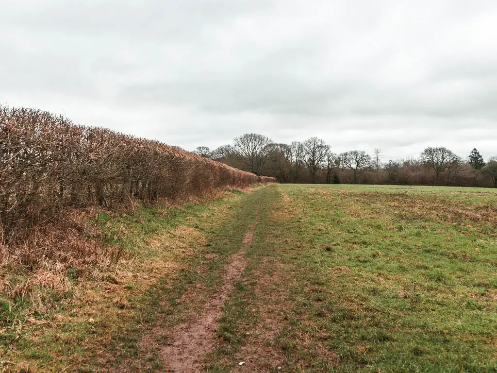 Looking along the edge of a large grass field lined with a leafless hedge.