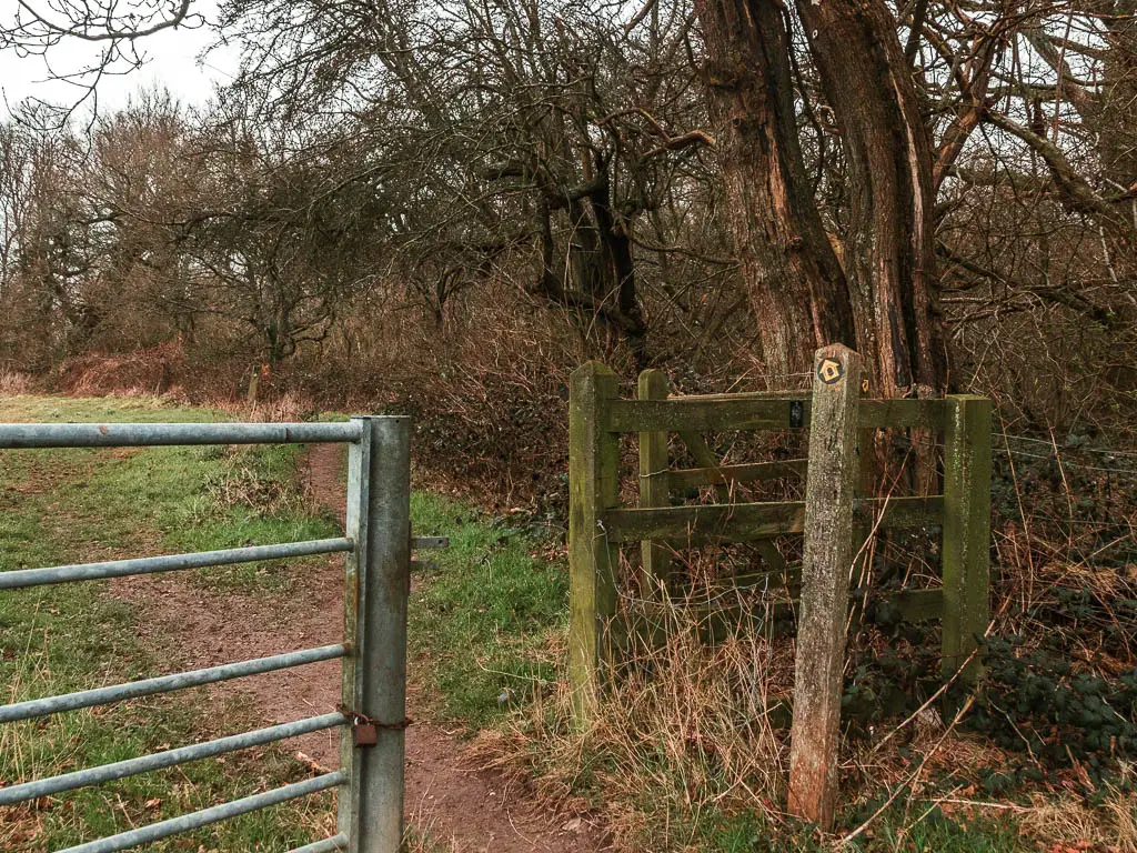 A gap between a metal gate and wooden fence, with a trail sign in front of them, and an arrow pointing through the gap.