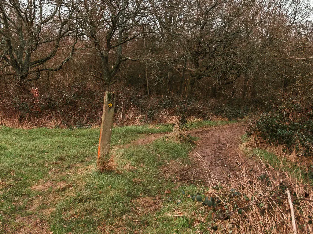 A wooden trail signpost sitting in the grass, pointing right along a dirt trail leading through some trees.