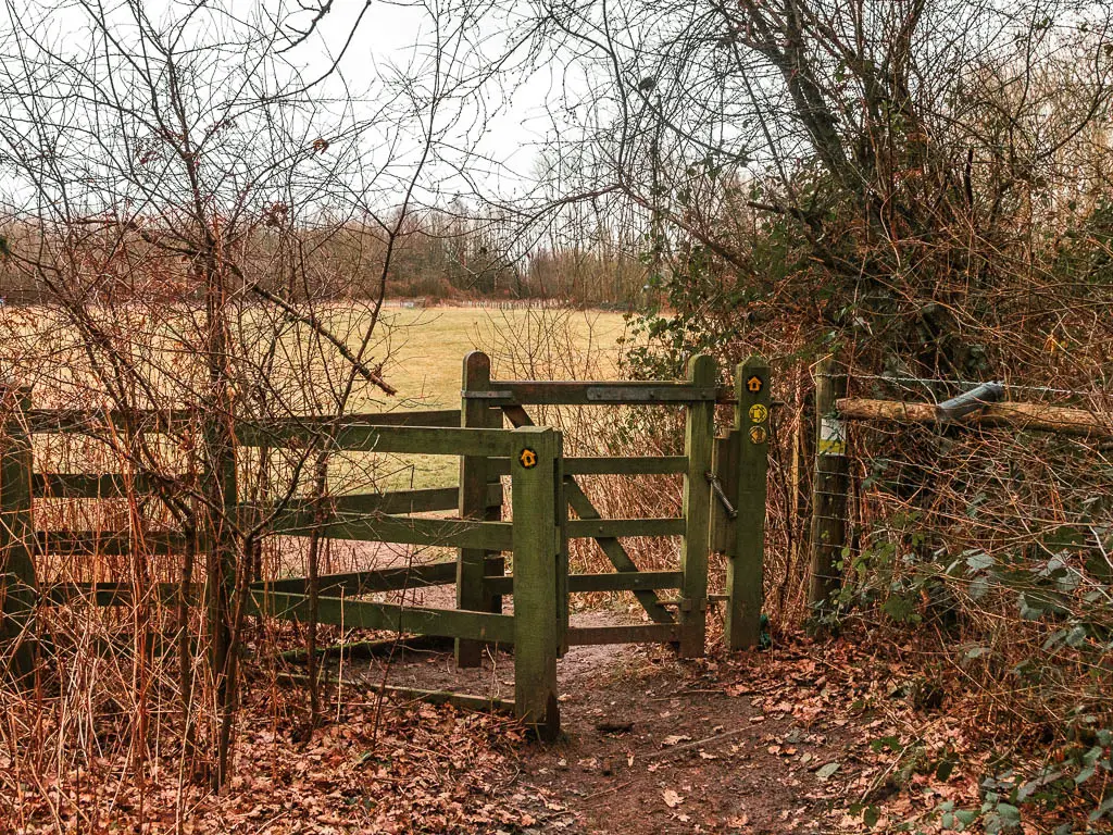 A wooden gate leading to a field on the other side. The gate is surrounded by leafless bushes.