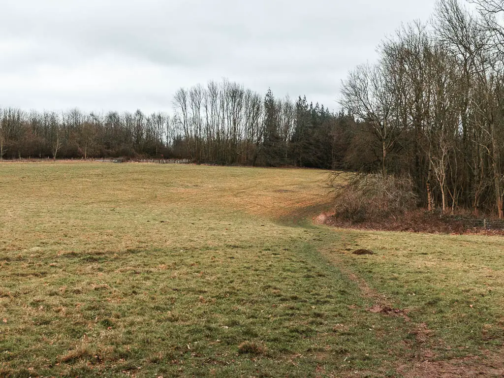 Looking down a large grass field with a barely visible trail running down the right edge of it. The field is surrounded by trees.