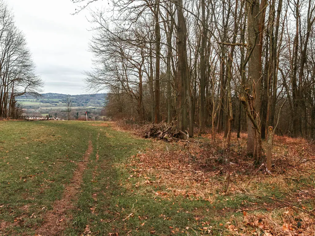 A dirt trail leading through the grass. There are tall leaflets trees on the right, and a view to fields and hills in the distance ahead.