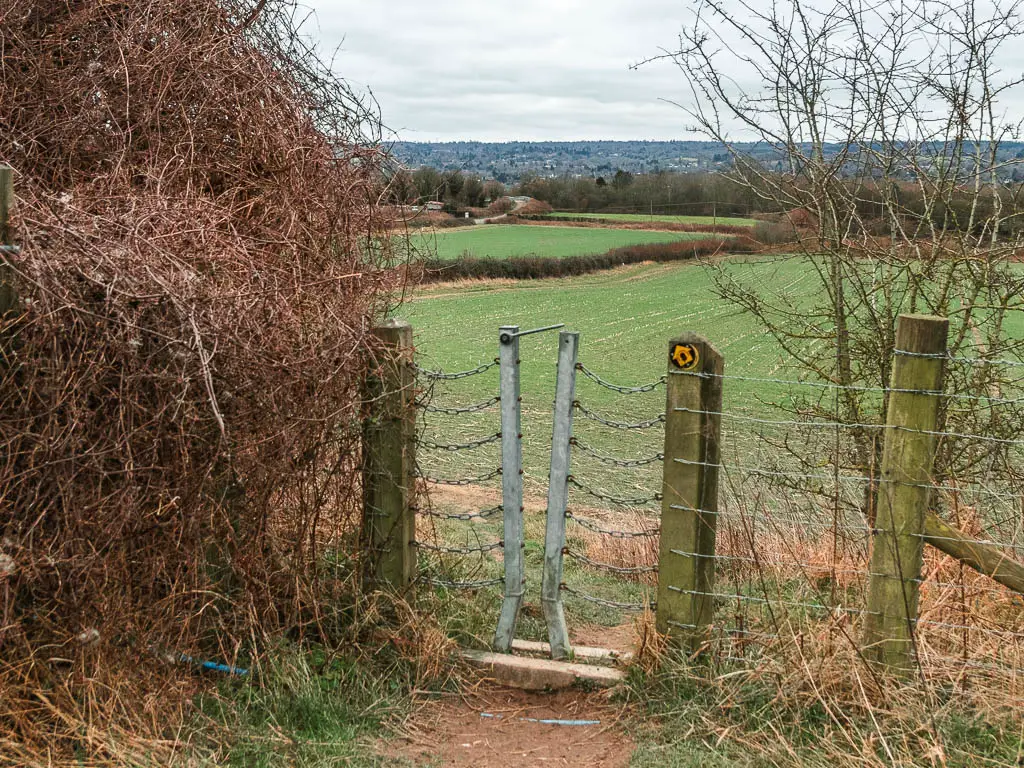 A metal gate in the wooden and wire fence, with a grass field on the other side down the hill. There is a leafless bush on the left side of the gate.