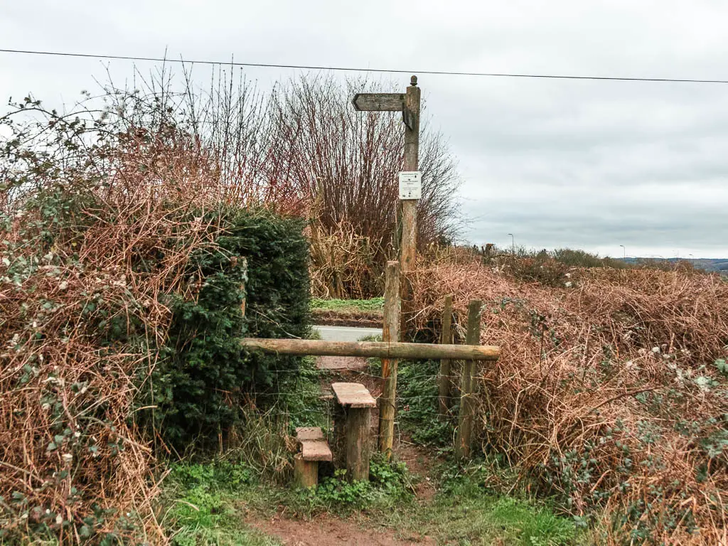 A wooden stile pin the straggly bushes, with a road on the other side. There is a trail signpost on the other side of the stile, pointing left.