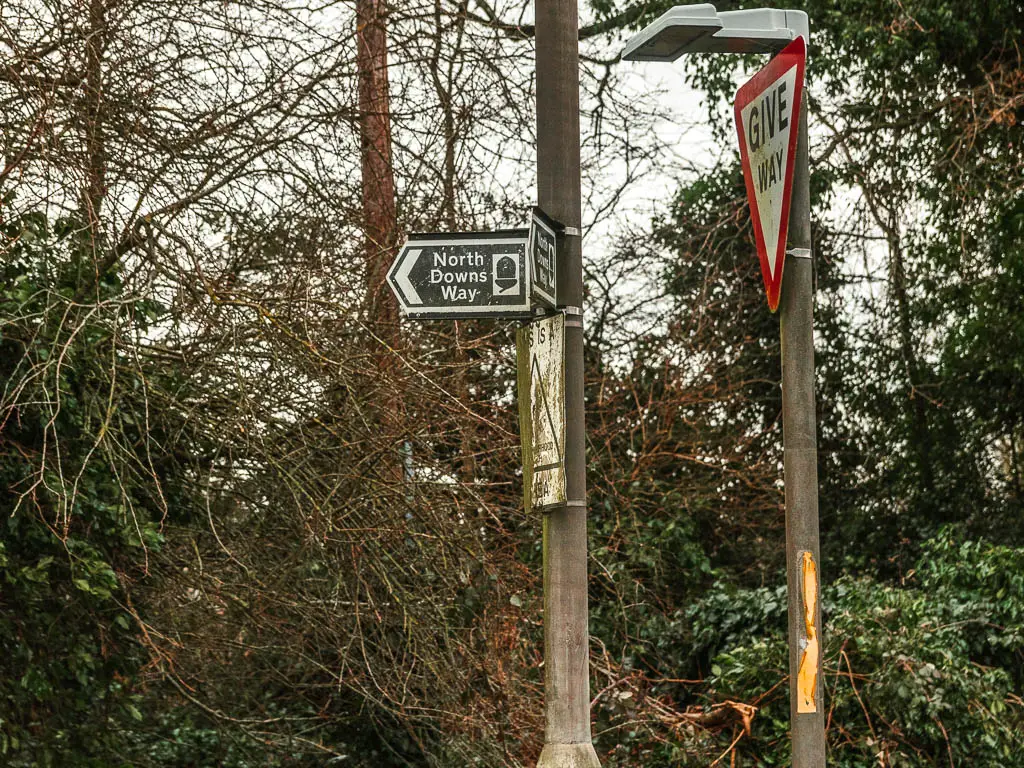 Two metal post, one with a red triangle give way sign, another with a North Downs Way back arrow sign pointing left. There are bushes and trees behind the signs.