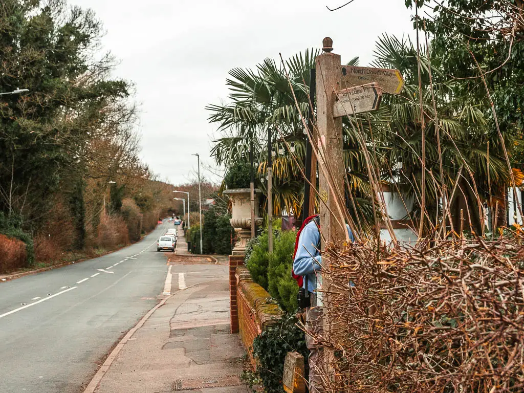 A road leading straight ahead on the left, and a leafless hedge on the right. There is a wooden trail signpost next to the hedge pointing to the right through it. there is a person walking through the hedge.