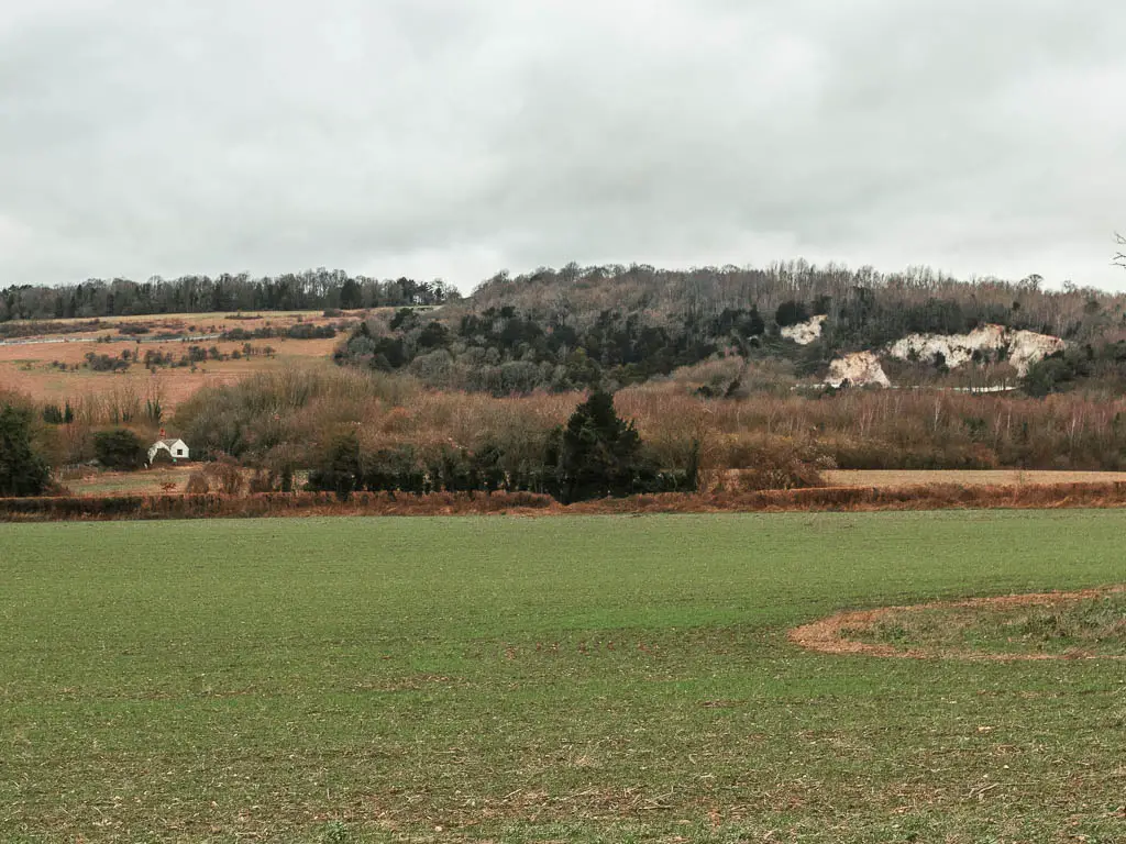 Looking across a large grass field ti trees and hills with white cliffs in the distance, near the end of the walk from Oxted to Otford.