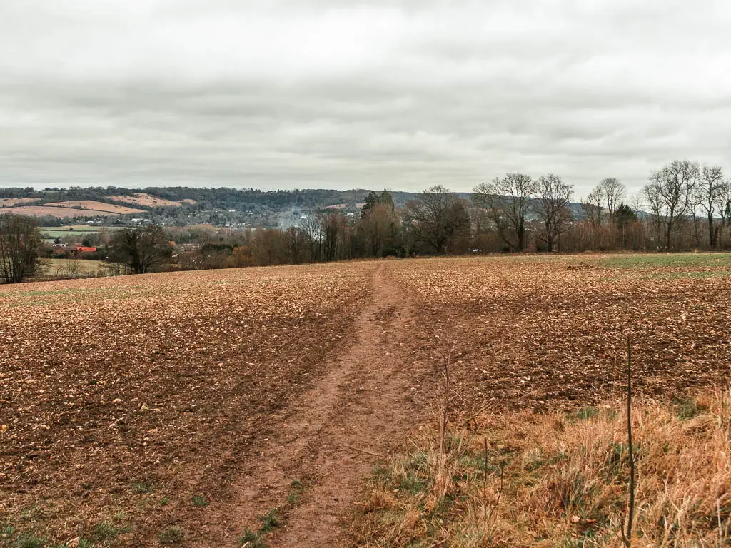 A dirt trial leading through the middle of a brown empty crop field.