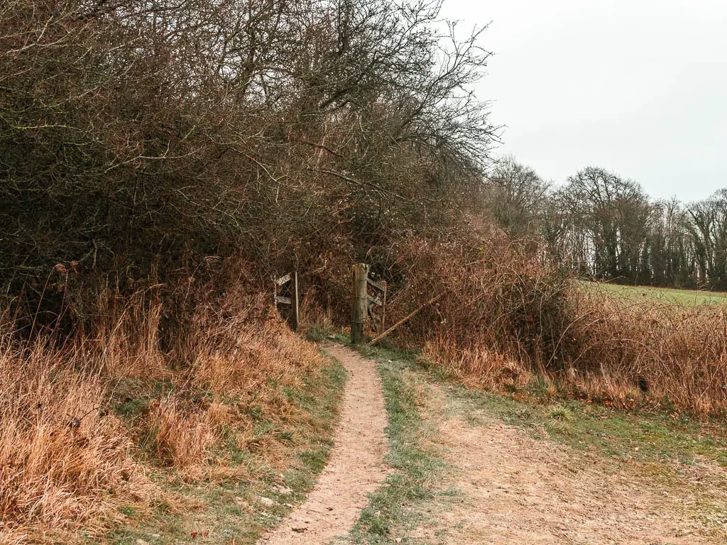 A narrow path leading towards a wooden gate which is surrounded by trees and bushes.