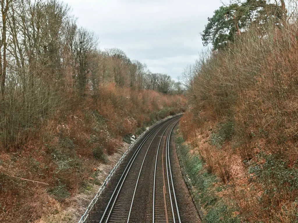 Looking down along a railway track, lined with bushes and trees.