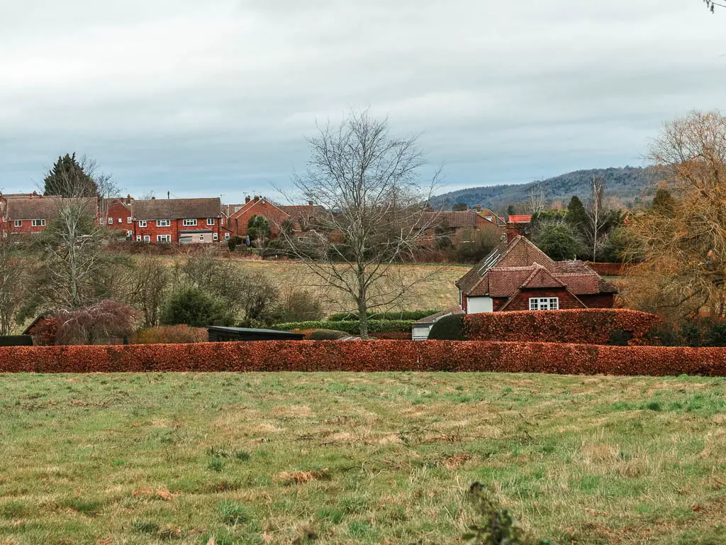 Looking across a grass field lined with a red hedge on the other side, and some cottages past the hedge, on the walk towards Otford from Oxted.