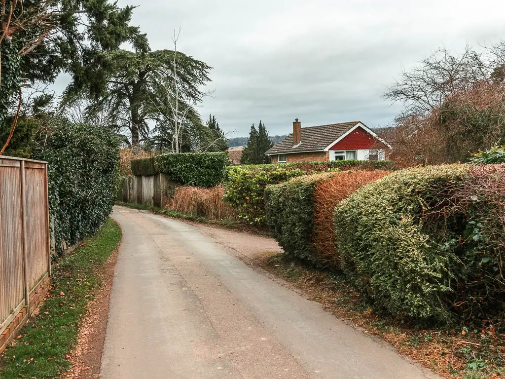 A clean residential road, lined with neatly cute hedges on the right, and a rooftop visible over the hedges.