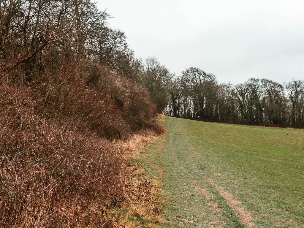 A barely visible,e trail leading along the left side of a green grass field. There are leafless bushes to the left.