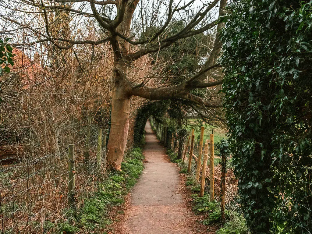 A narrow path lined with a wire fence and bushes and trees forming a tunnel ahead.