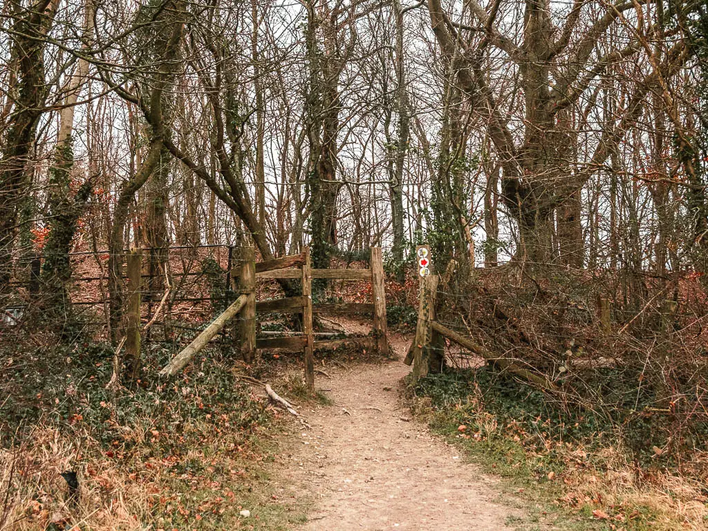 The path leading towards a wooden gate with woodland trees on the other side. 