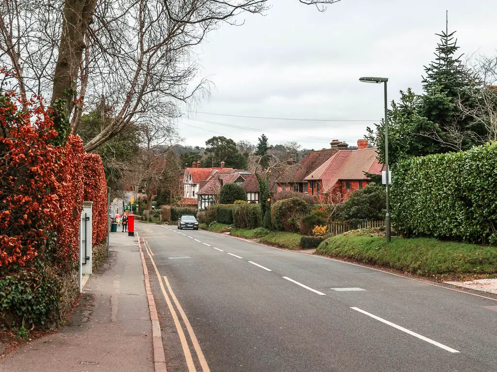 A residential road, lined with hedges in red and green, and houses ahead on the right side. 