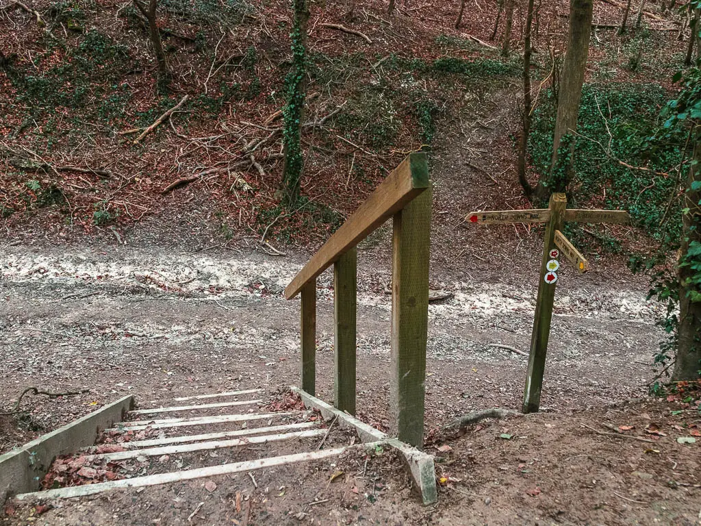 Steps leading down to a path, with a trail signpost on the right.