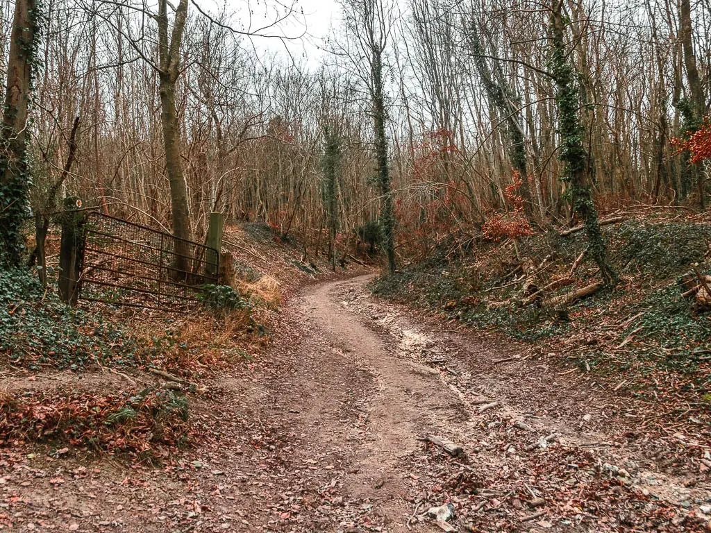 A dirt path leading uphill, lined with steep banks and trees, on the walk from Oxted to Otford.