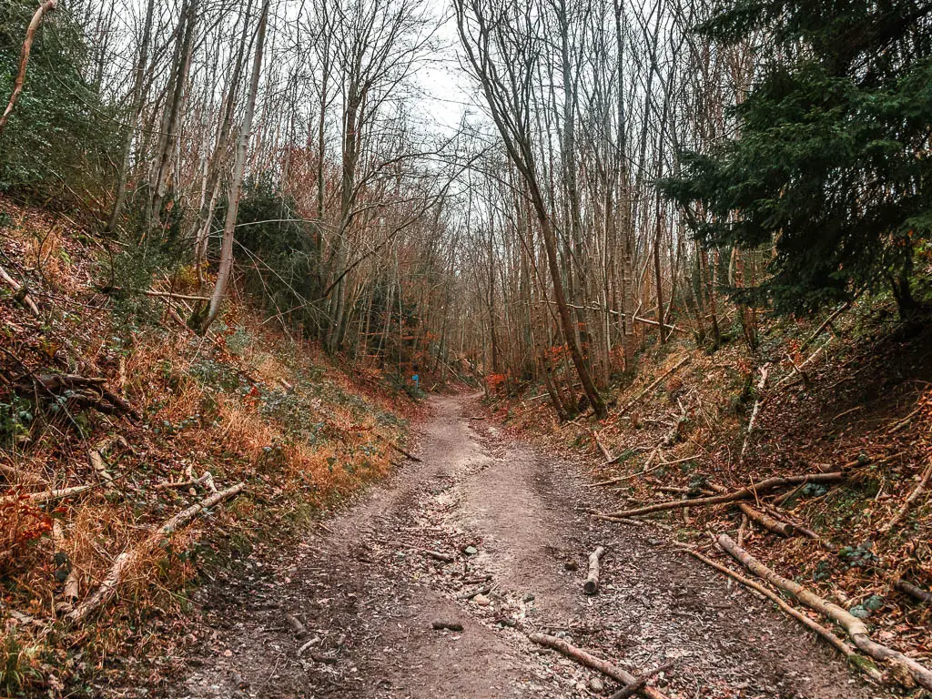 A wide dirt uphill path lined with trees up the banks, on the walk from Oxted to Otford.