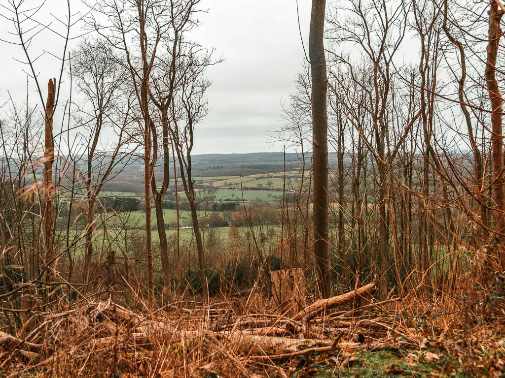 Looking through a gap in the trees, to a view of fields in the distance, when walking from Oxted to Otford.