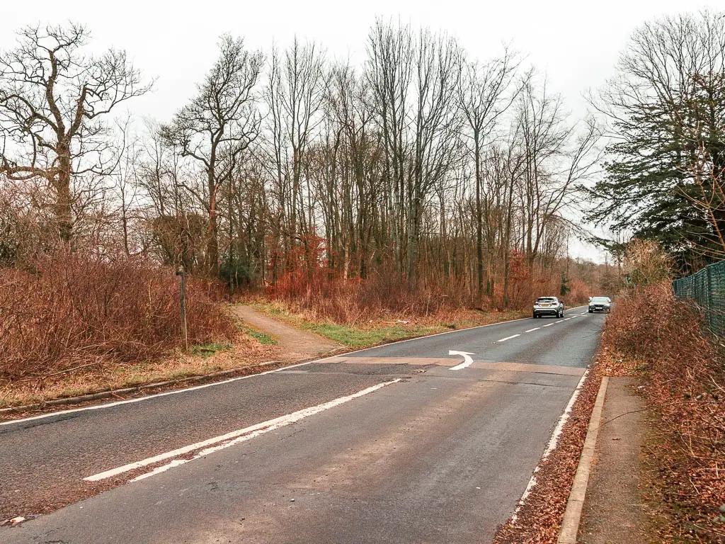 A road leading from the bottom left corners to the right, with a trail and woods on the other side. There are two cars driving along the road.