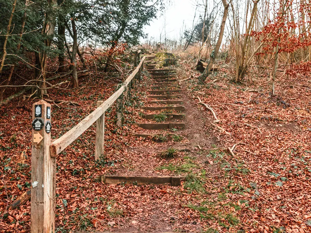 Steps leading up a hill, with a wooden railing on the left side, on the walk from Oxted to Otford. The ground is covered in fallen red leaves.