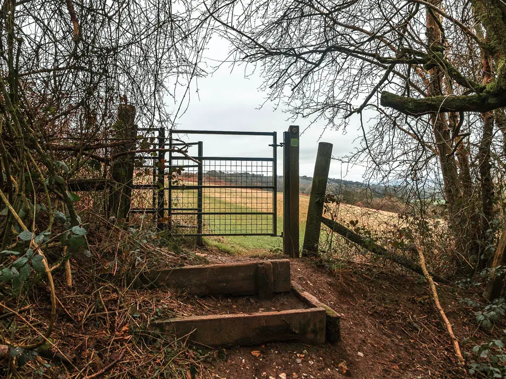 Steps leading to a metal gate, with a green grass field on the other side.