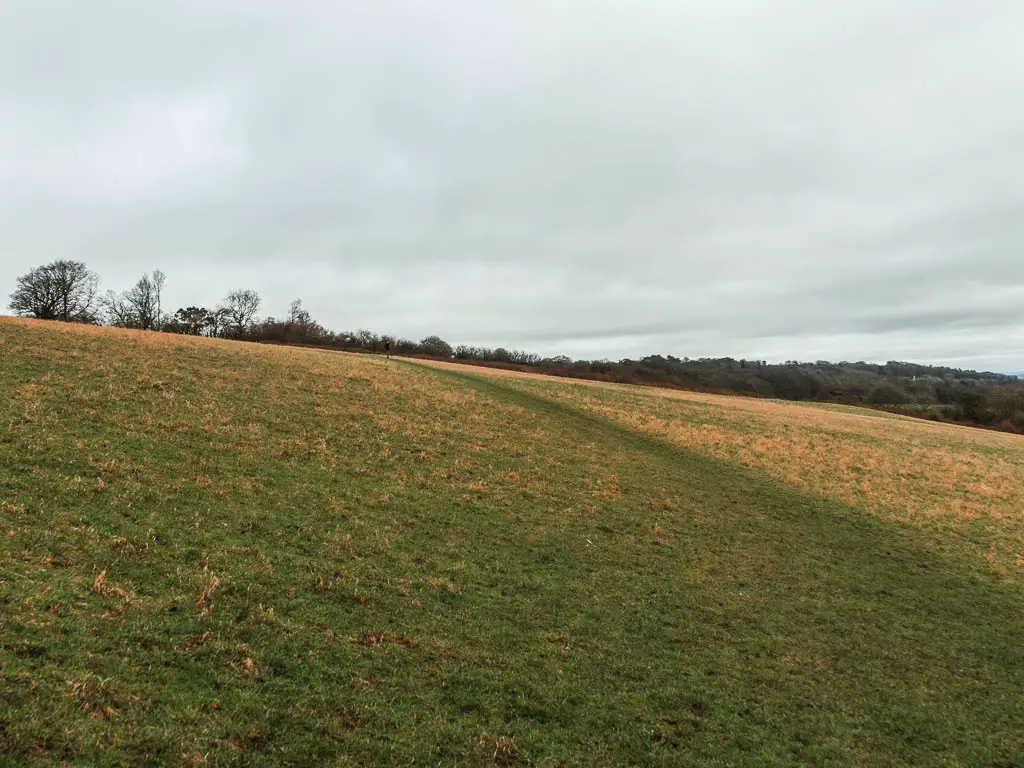 Looking across a large green grass hill field. The green grass turns to yellow ahead. 