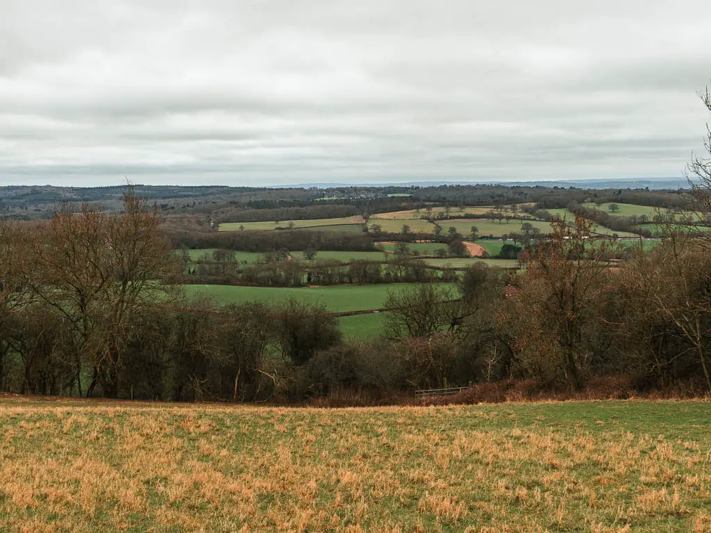 Looking down the grass hill, too a view of patchwork green fields in the distance, on the walk between Oxted and Otford.