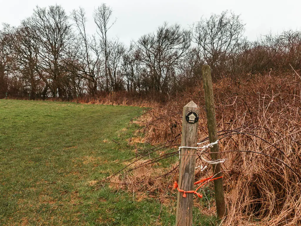 A wooden stump trail signpost on the right side edge of a field, with brown leafless bushes to the right.