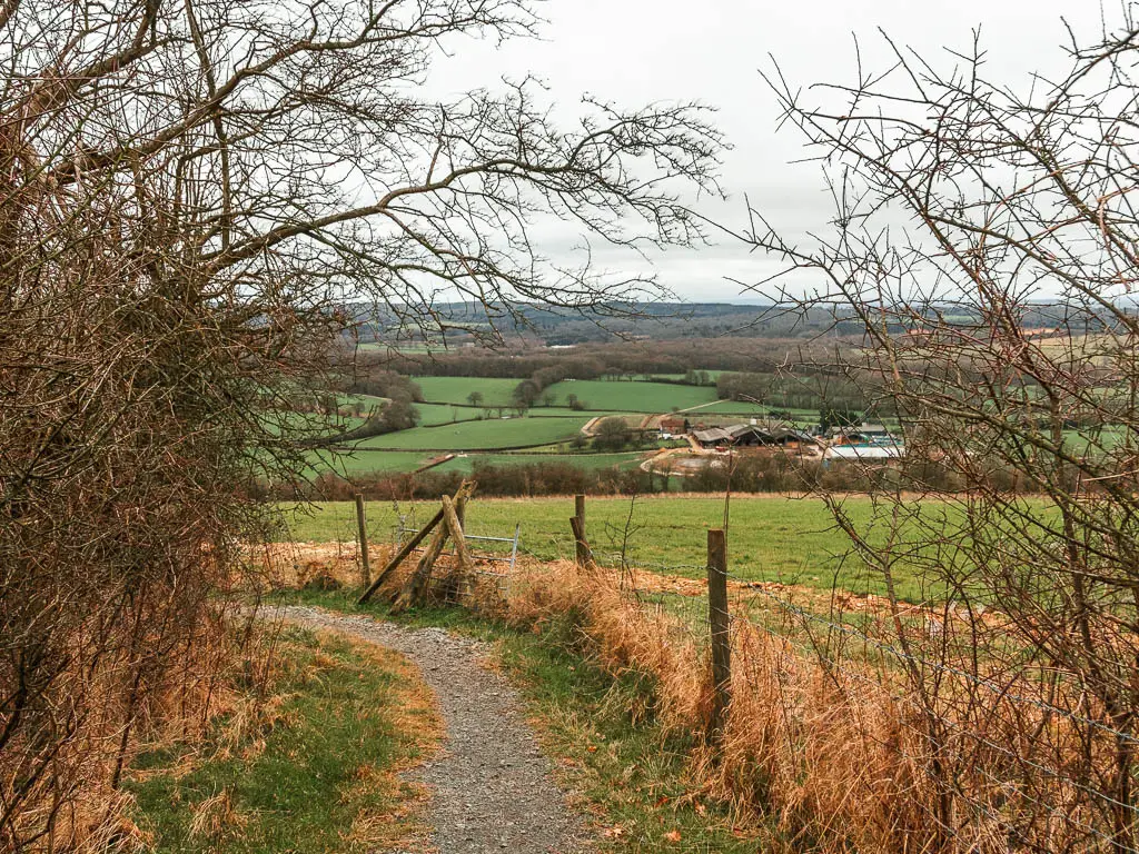 a narrow gravel path curving to the left, with a view to the fields though leafless tree branches.