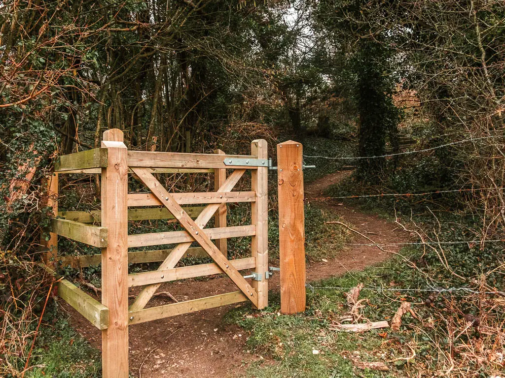 A wooden gate with masses of woodland trees on the other side.