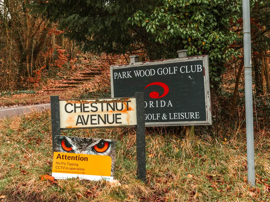 A road sign saying Chestnut avenue, and a black golf club sign behind it. The signs are sitting in unkept grass.