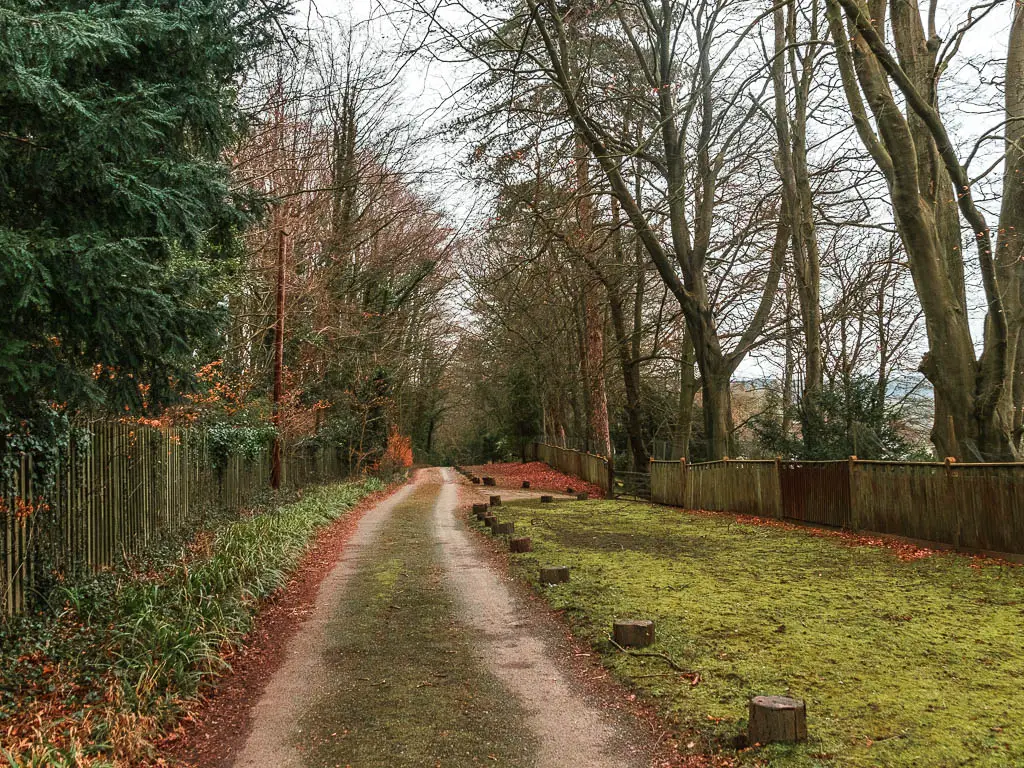 A road leading ahead, with grass lining the right and a wooden fence along the left. On the right side of the grass there is a wooden fence, with tall trees on the other side. 