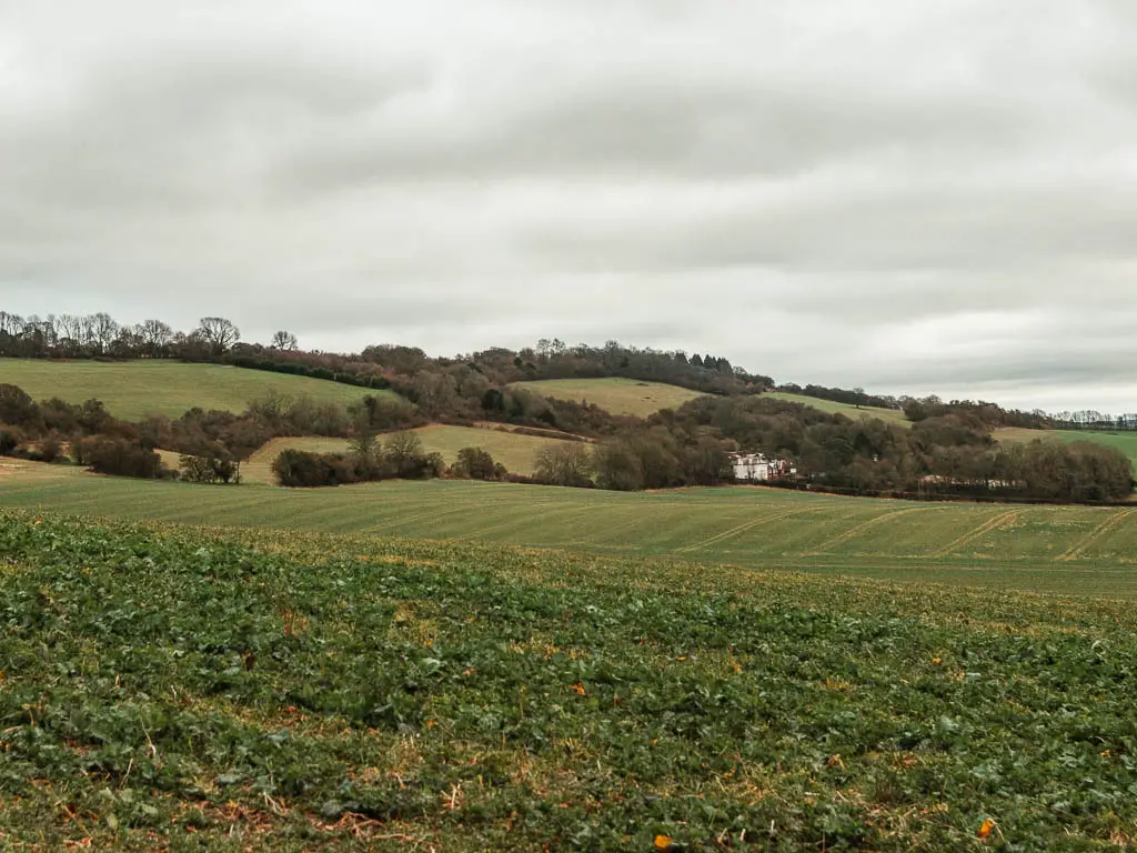 Looking across a grass field, with underling hills ahead, on the walk from Oxted to Otford.