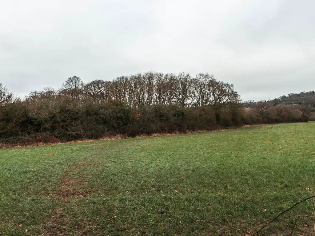 A large green grass field with trees on the other side.