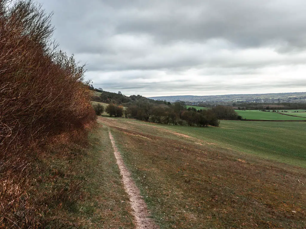 A think trail leading ahead on the the top of a large grass field leading down to the right. There are bushes on the left side of the trail.