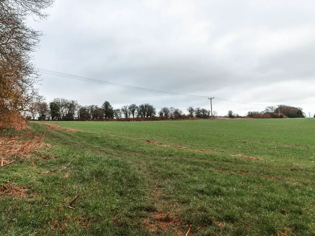 A large green grass field. There are some trees lining the top of the field ahead. 